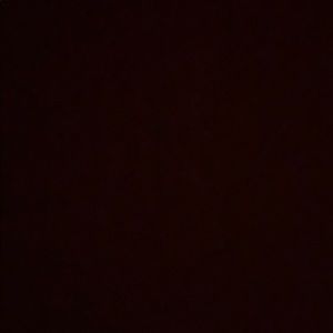 Meet your Posher, Tavaris